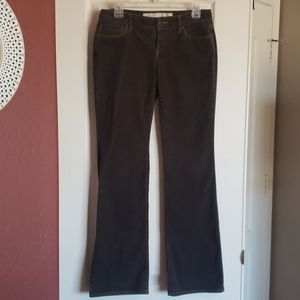Loft corduroy pants